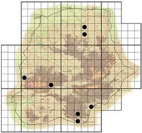 Stephenia lygus Waterberg distribution